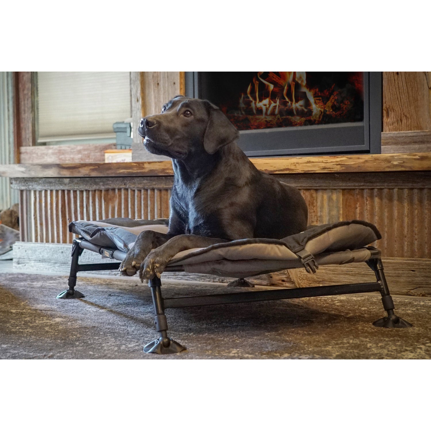 Momarsh Home Cot Dog Bed