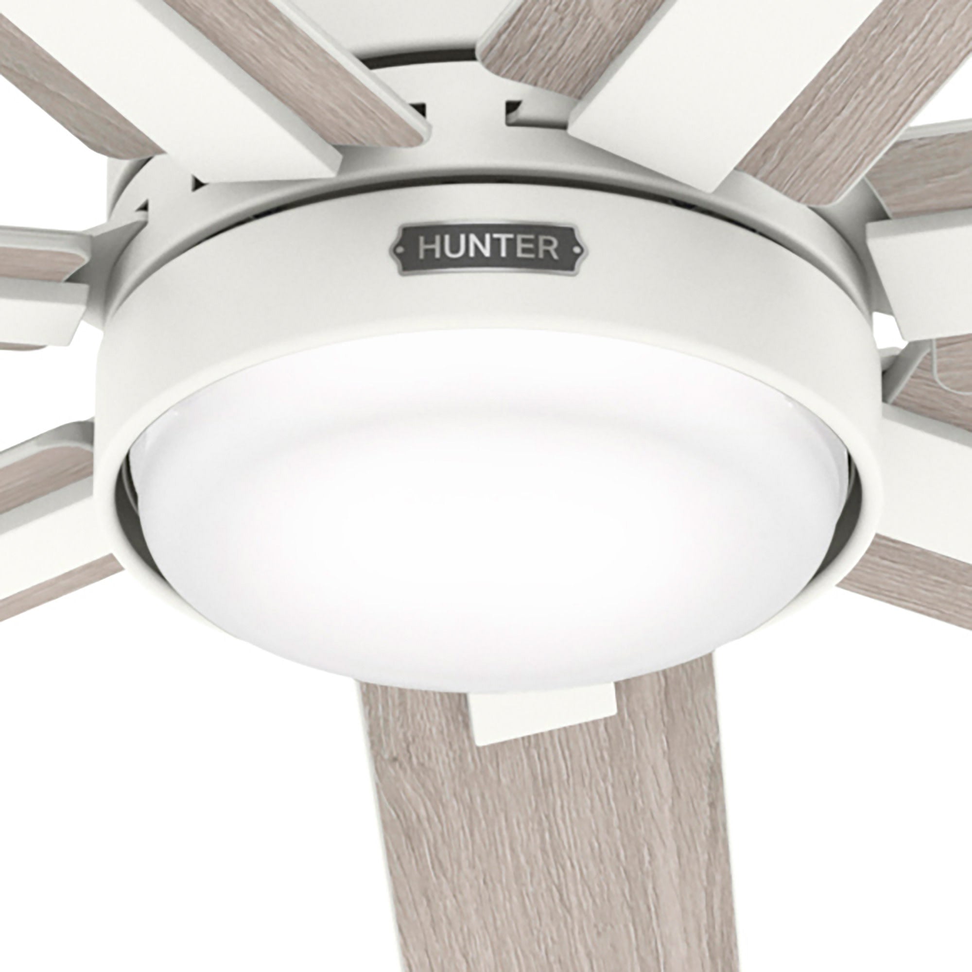 Loflin LED Ceiling Fan