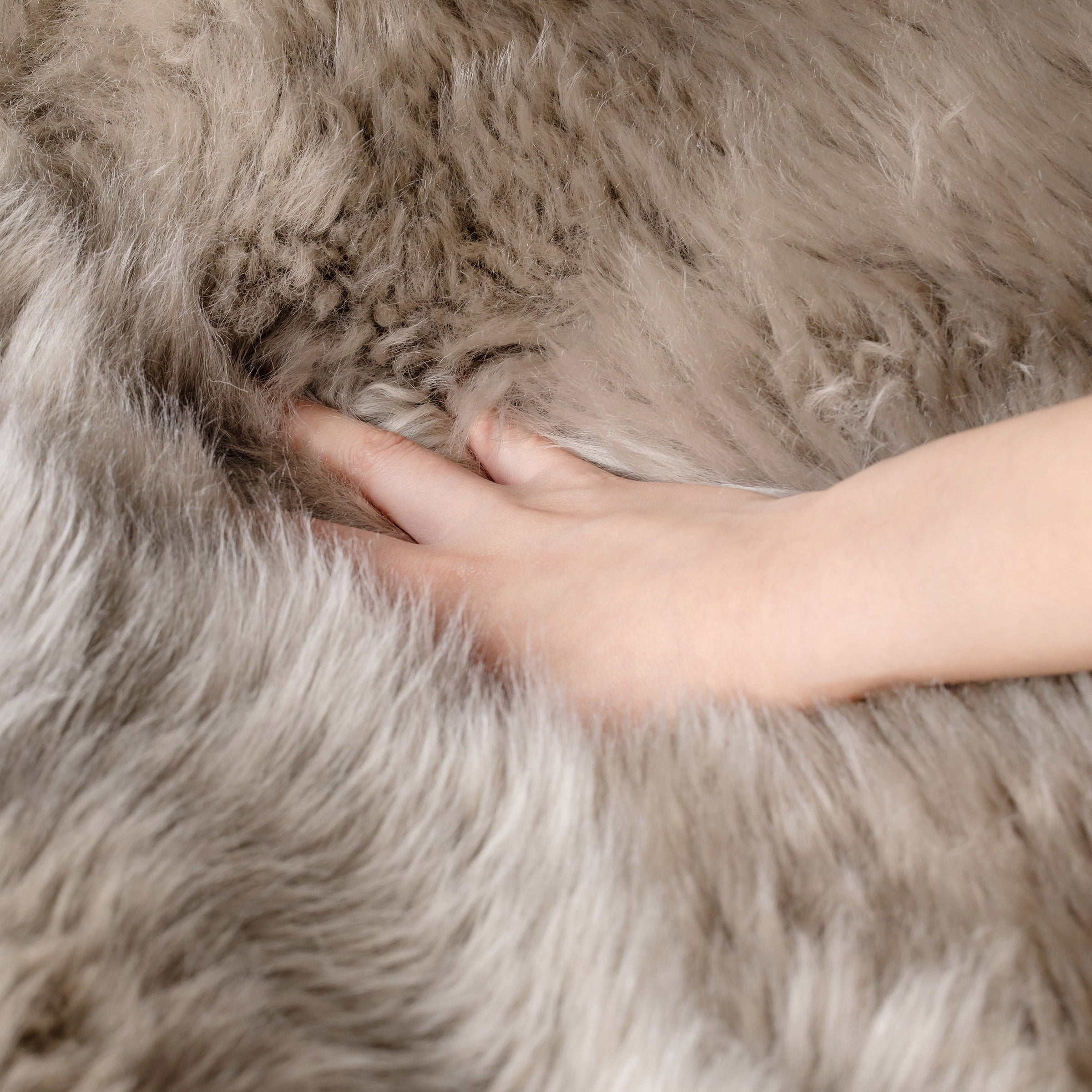 Sheepskin Rug, 43"X71"