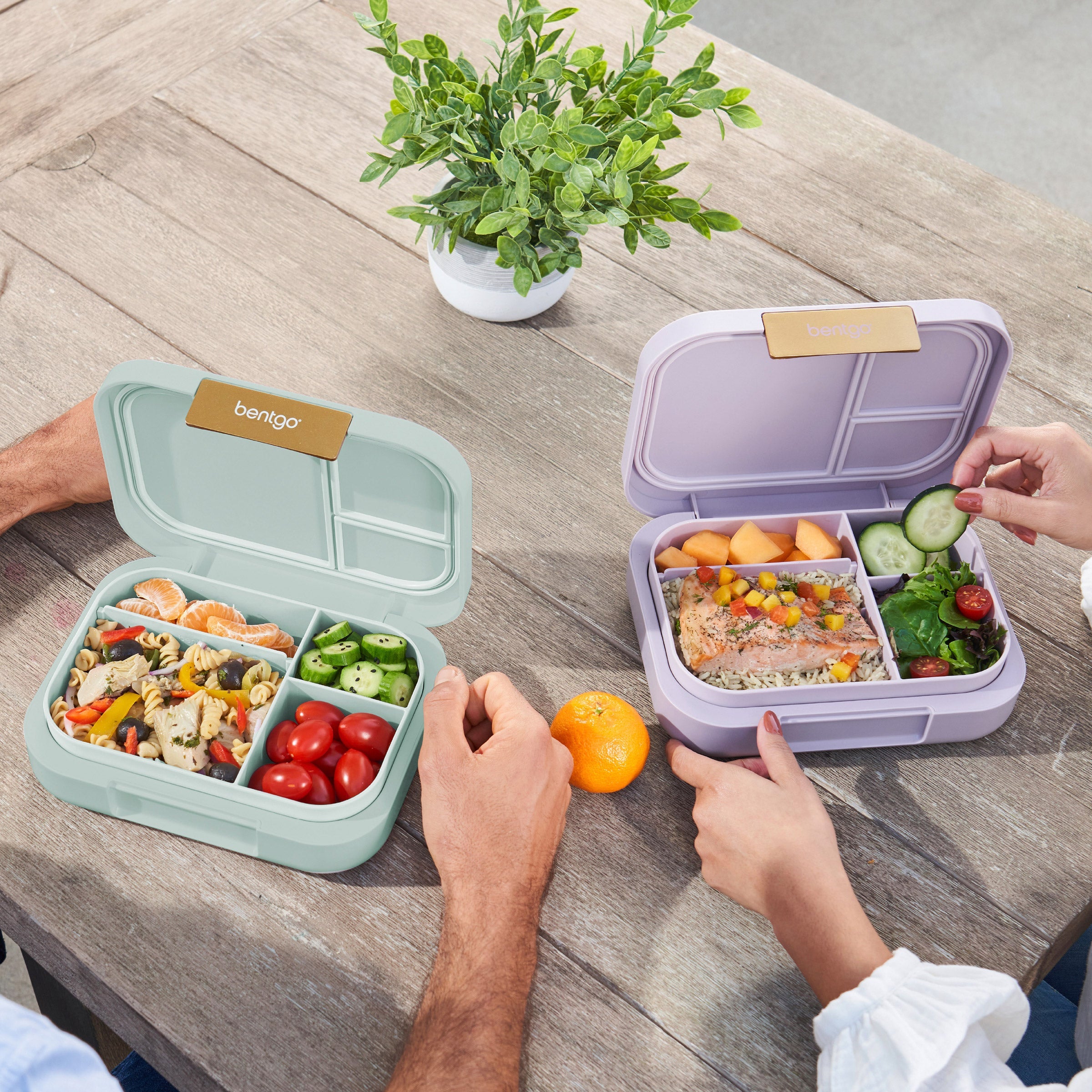 Modern Leak-Resistant Lunch Box, 2 Pack